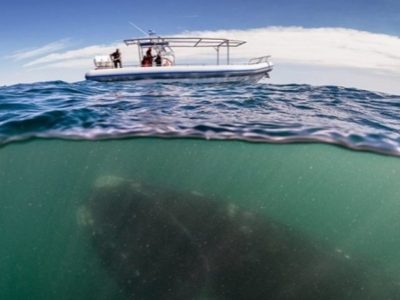 10+ Truly Epic Photos Taken on the Border Between Two Worlds