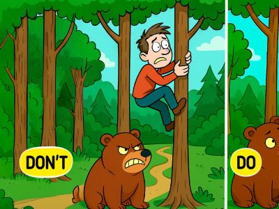 12 Actions That May Help Save Your Life During Bear Encounters