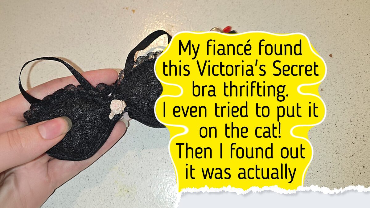 20+ Thrift Store Finds That Prove the Best Discoveries Happen When You Least Expect Them